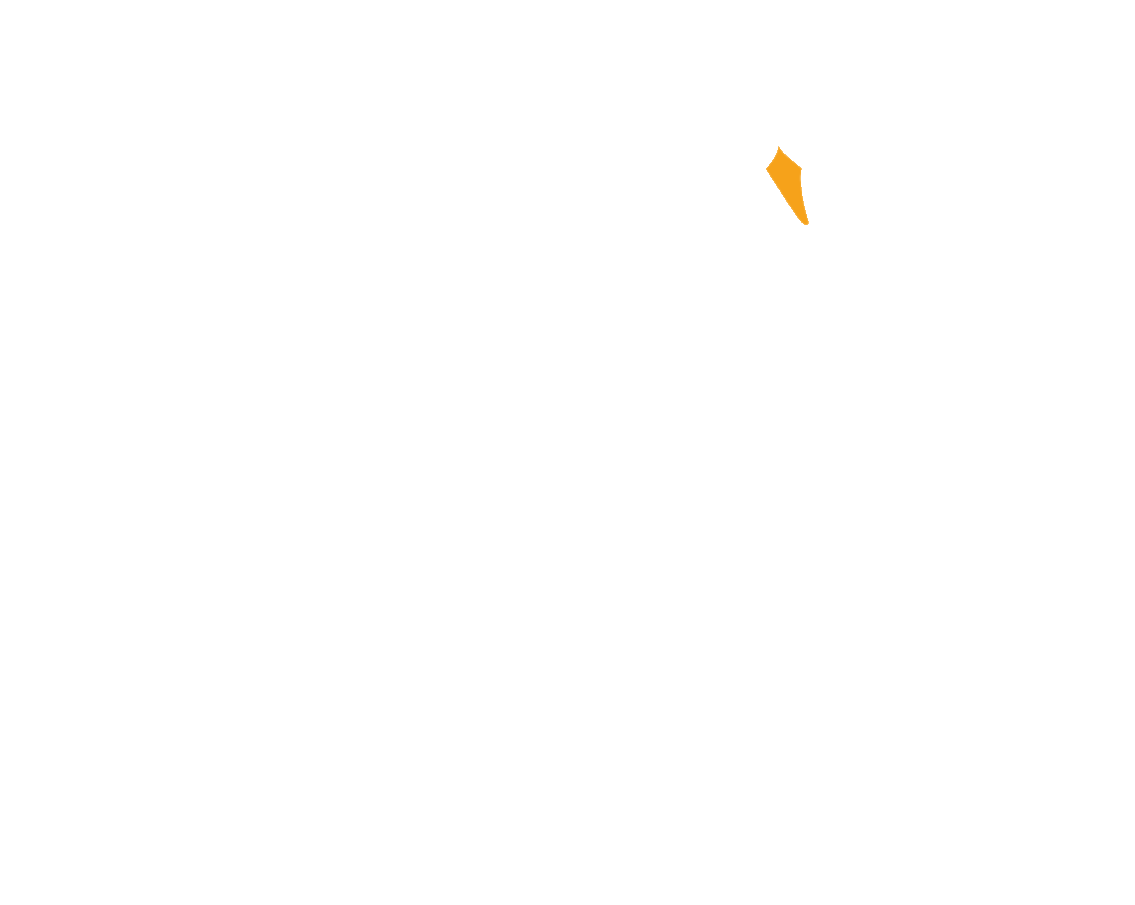 Svane Elteknik logo hvidt